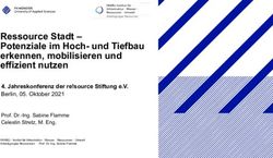 Ressource Stadt - Potenziale im Hoch- und Tiefbau erkennen, mobilisieren und effizient nutzen - re!source Stiftung