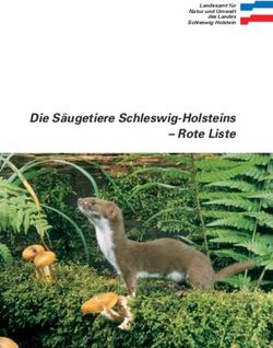 Die Säugetiere Schleswig-Holsteins - Rote Liste