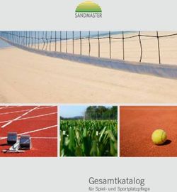 Gesamtkatalog für Spiel- und Sportplatzpflege - Sandmaster
