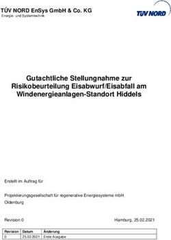 Gutachtliche Stellungnahme zur Risikobeurteilung Eisabwurf/Eisabfall am Windenergieanlagen-Standort Hiddels