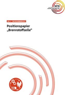 Positionspapier "Brennstoffzelle" - AG 4 - ZWISCHENBERICHT - Nationale Plattform Zukunft ...