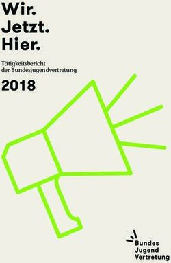Wir. Jetzt. Hier. 2018 - T&auml;tigkeitsbericht der Bundesjugendvertretung - BJV