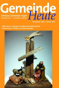 Dezember 2020 / Januar 2021 - Stille Nacht Angebote der Weihnachtsgottesdienste Besetzung der Gremien und Beauftragungen