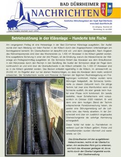 Betriebsst&ouml;rung in der Kl&auml;ranlage - Hunderte tote Fische