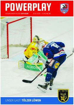 POWERPLAY - Heilbronner Falken