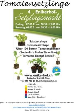 Tomatensetzlinge - Frische Kirschen ab Hof