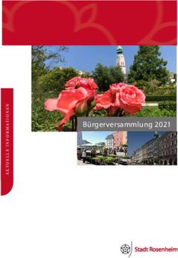 B&uuml;rgerversammlung 2021 - Stadt Rosenheim