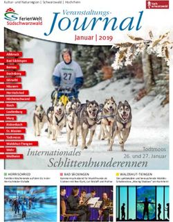 Veranstaltungs - Januar | 2019 - Ferien Südschwarzwald