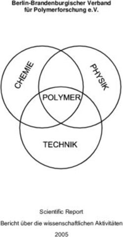 Berlin-Brandenburgischer Verband f&uuml;r Polymerforschung e.V - Scientific Report Bericht &uuml;ber die wissenschaftlichen Aktivit&auml;ten 2005