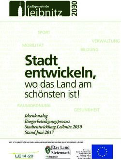 Stadt entwickeln, wo das Land am schönsten ist! - Ideenkatalog Bürgerbeteiligungsprozess Stadtentwicklung Leibnitz 2030 Stand Juni 2017 ...