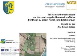 Teil 1: Machbarkeitsstudie zur Nachnutzung der Konversionsfläche Flintholm zu einem Kunst- und Erlebnisraum