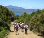 Wandern auf Elba Zwischen Bergen, Buchten und Meer 16 - 22. Mai 2021 - Zwischenübernachtungen an der Versiliaküste Bewährtes Hotel auf Elba ...