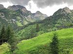 Rothirsch schweizweit auf dem Vormarsch - Der Anblick