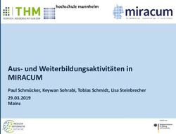 Aus- und Weiterbildungsaktivit&auml;ten in - MIRACUM Paul Schm&uuml;cker, Keywan Sohrabi, Tobias Schmidt, Lisa Steinbrecher 29.03.2019 Mainz