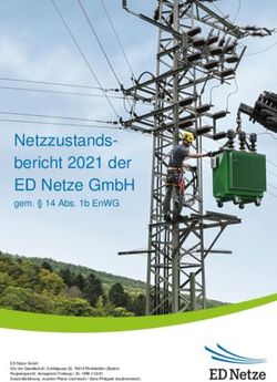 NETZZUSTANDS-BERICHT 2021 DER ED NETZE GMBH - GEM. 14 ABS. 1B ENWG