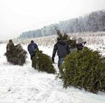 EVANGELISCH IN &Uuml;BACH-PALENBERG - Dezember 2020 / Januar 2021 - kirche-uep.de