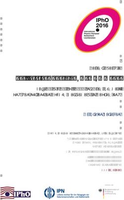 Internationale PhysikOlympiade - Bericht über die - Ipn.uni-kiel