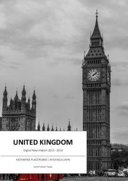 UNITED KINGDOM KATHARINA PLACEREANO | MICHAELA JAHN - Digital News Report 2013 2019 - forschungsgruppe-medienwandel