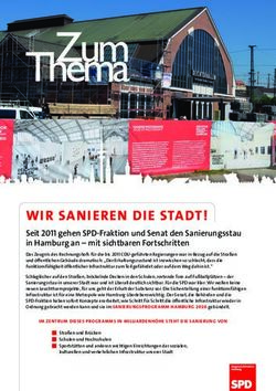 WIR SANIEREN DIE STADT! - SPD-Fraktion Hamburg
