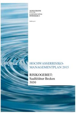 HOCHWASSERRISIKO-MANAGEMENTPLAN 2015 RISIKOGEBIET: Saalfeldner Becken 5030