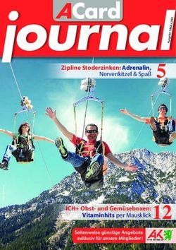 Journal Nervenkitzel & Spaß 5 - Vitaminhits per Mausklick 12 - Arbeiterkammer Steiermark