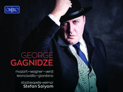 GAGNIDZE GEORGE Stefan Solyom