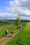 GEMEINDEBRIEF - Nr. 2/3 - 2020 Juli - September - Matth&auml;usgemeinde Lehrte