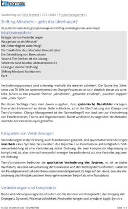 Shifting Mindsets - geht das überhaupt? - Silke Nierfeld