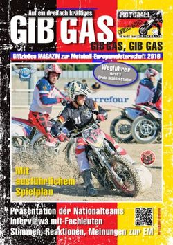 GIB GAS - MSC Taifun Mörsch