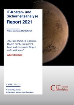 Report 2021 IT-Kosten- und Sicherheitsanalyse - IT-Consulting Ebikon
