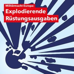 Explodierende R&uuml;stungsausgaben - Milit&auml;rmacht Europa: &Ouml;zlem Alev Demirel