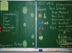 Streuobst-Unterricht für Grundschulen - im Landkreis Tübingen