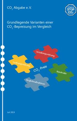 Grundlegende Varianten einer CO2-Bepreisung im Vergleich CO2 Abgabe eV