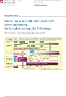Studien zu Wirtschaft und Gesellschaft sowie Monitoring im Sachplan geologische Tiefenlager