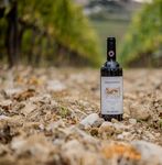 ZINGARELLI CHIANTI CLASSICO AUS CASTELLINA IN CHIANTI - Sergio Zingarelli setzt bei Rocca delle Macie auf Sangiovese und die Chianti-Experience ...