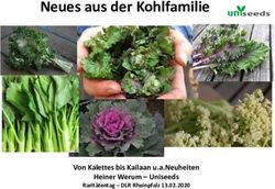 Neues aus der Kohlfamilie - Von Kalettes bis Kailaan u.a.Neuheiten Heiner Werum - Uniseeds - dlr.rlp.de
