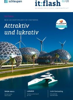 NEUE GESCHÄFTSFELDER FÜR STADTWERKE - LORAWAN LICHT-CONTRACTING - SCHLEUPEN AG