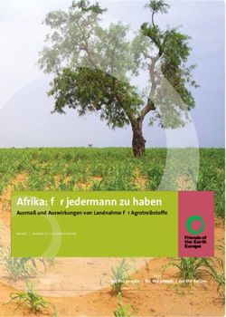 Afrika: für jedermann zu haben - Ausmaß und Auswirkungen von Landnahme für Agrotreibstoffe