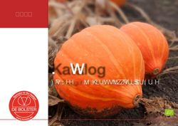Katalog 2018 - De Bolster