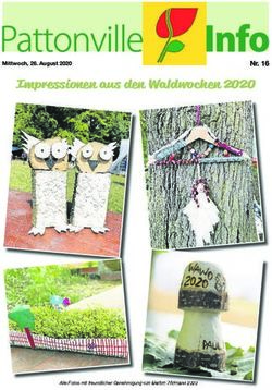 Impressionen aus den Waldwochen 2020 - Nr. 16 - Zweckverband ...