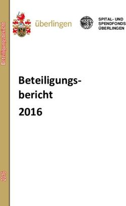 Beteiligungs-bericht 2016 - SPITAL- UND SPENDFONDS ÜBERLINGEN - Stadt Überlingen