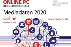 Mediadaten 2020 Online - HOME- & BUSINESS-IT - Neue Mediengesellschaft Zürich AG