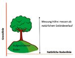 Die Grenzabstände im Nachbarrecht - St. Galler Bauernverband