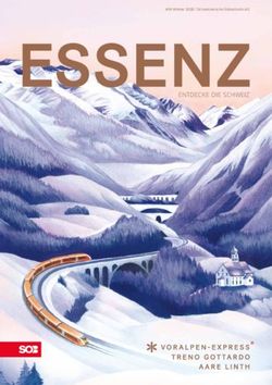 ENTDECKE DIE SCHWEIZ - SOB