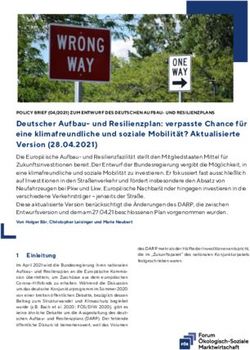 Deutscher Aufbau- und Resilienzplan: verpasste Chance f&uuml;r eine klimafreundliche und soziale Mobilit&auml;t? Aktualisierte Version (28.04.2021) - Forum ...