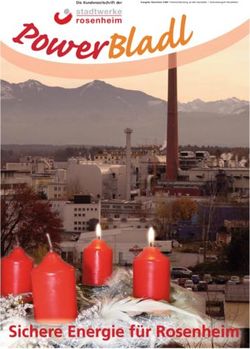 Die Kundenzeitschrift der - Stadtwerke Rosenheim