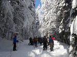 Schneeschuhwandern im Nationalpark Bayerischer Wald- 28. Februar 2021 Geführte Touren mit Nationalpark-Waldführer - auch für Anfänger