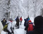 Schneeschuhwandern im Nationalpark Bayerischer Wald- 28. Februar 2021 Geführte Touren mit Nationalpark-Waldführer - auch für Anfänger