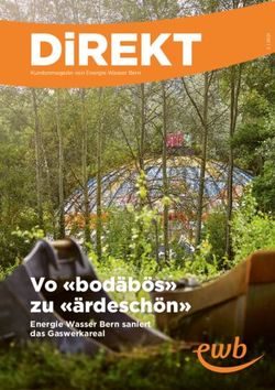 DIREKT - VO "BOD&Auml;B&Ouml;S" ZU "&Auml;RDESCH&Ouml;N" ENERGIE WASSER BERN SANIERT DAS GASWERKAREAL