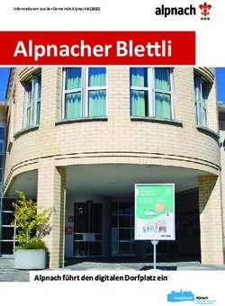 Alpnacher Blettli - Alpnach f&uuml;hrt den digitalen Dorfplatz ein